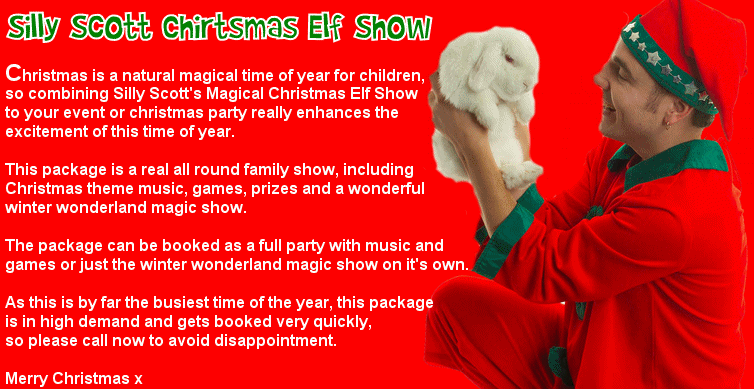 Christmas Elf Entertainers